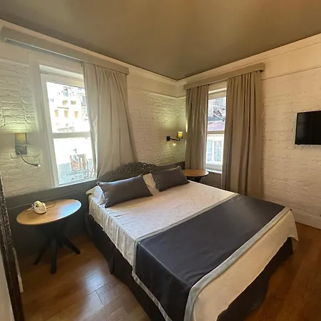 Pino Provincia di Istanbul