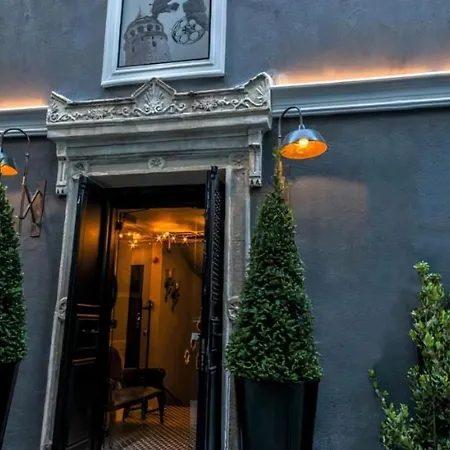 Pino Istanbul
